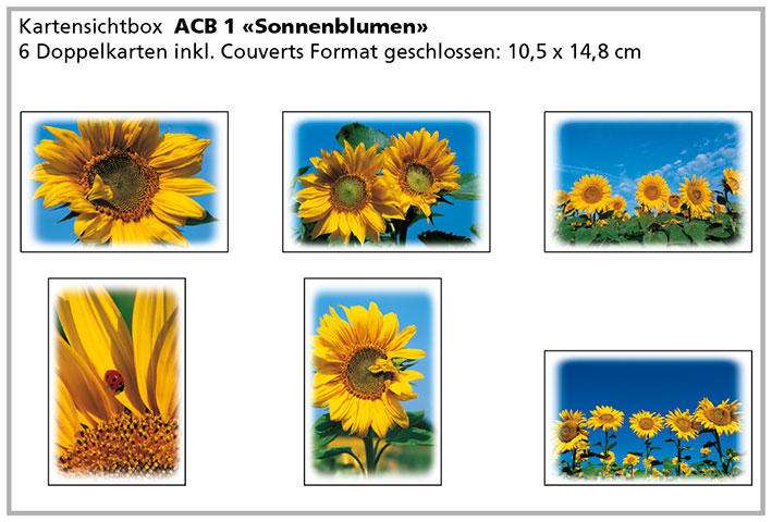 ACB 2 «Sonnenblumen»