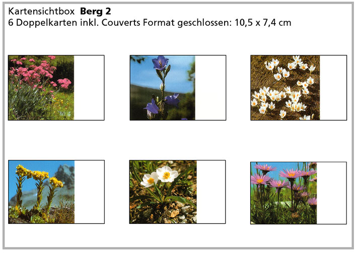 Berg2 «Bergblumen»