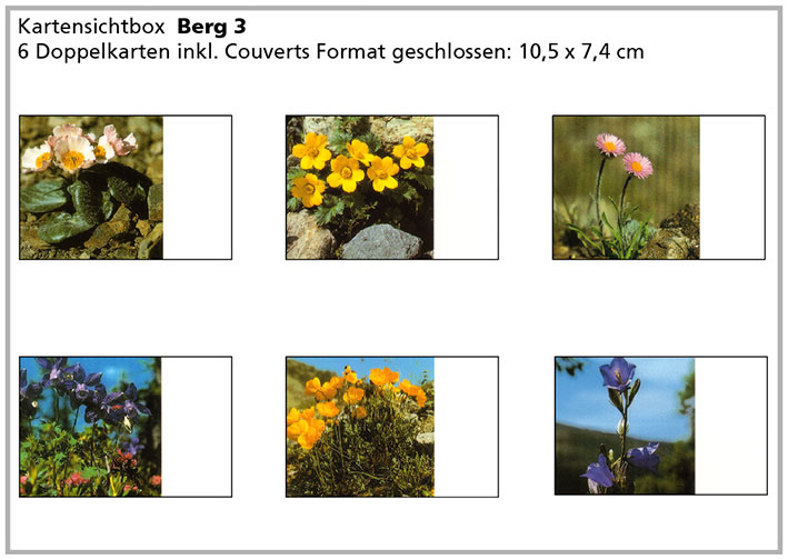 Berg3 «Bergblumen»