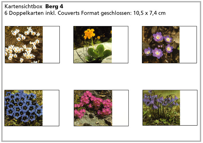 Berg4 «Bergblumen»