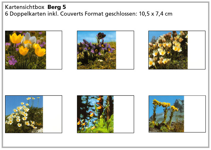 Berg5 «Bergblumen»