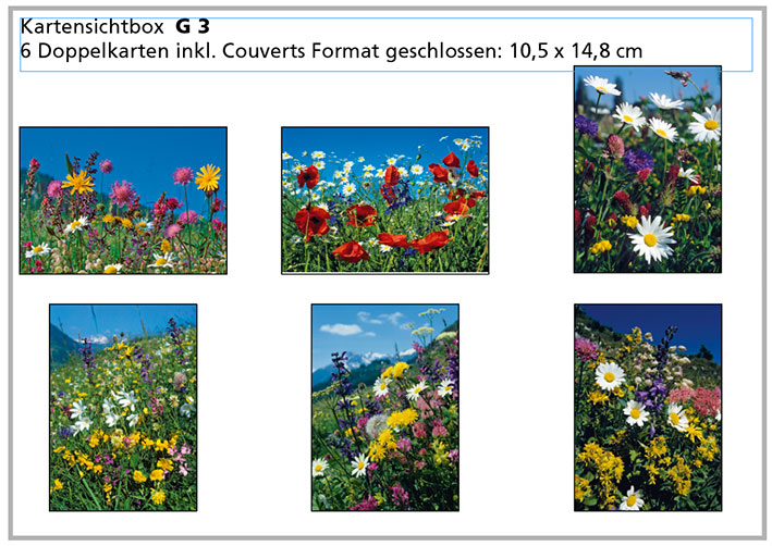 G3 «Alpenblumen»