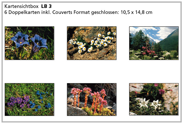 LB3 «Alpenblumen»