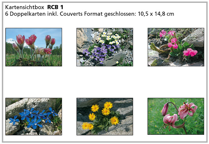 RCB1 «Alpenblumen»