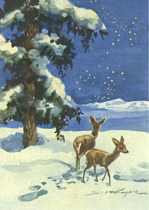 7446 «Zwei Rehe im Schnee»