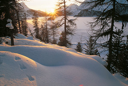 Le 43 «Sonnenuntergang über dem Silsersee»